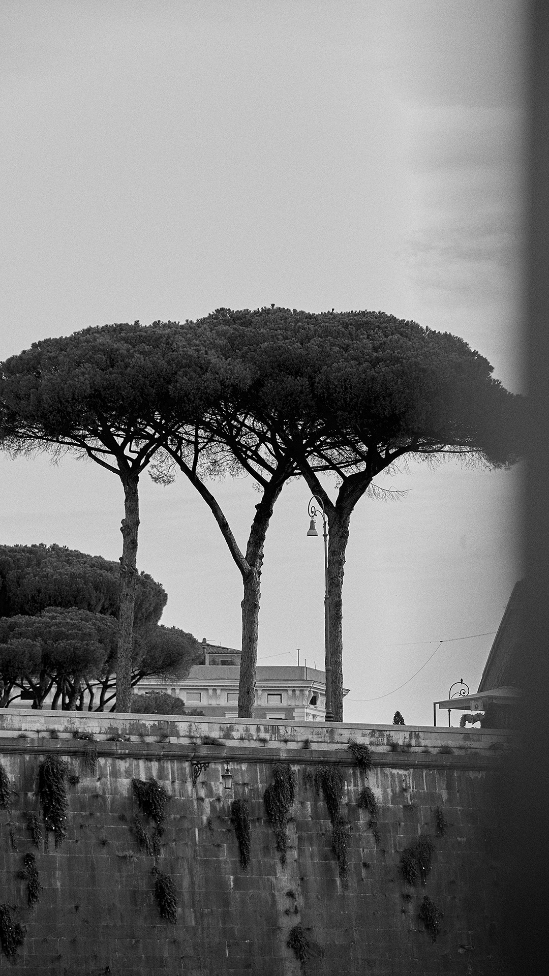 Roma.settembre2023 15
