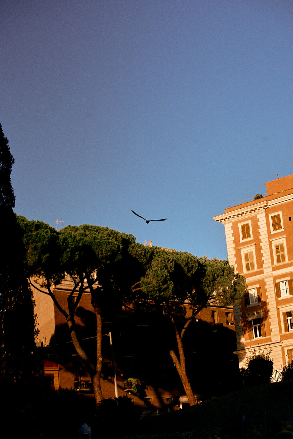 Roma.settembre2023 5